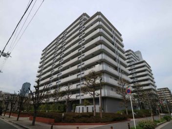 ウェルコートしぎの